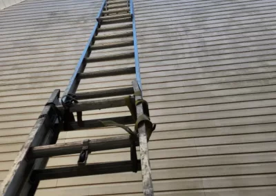 High-quality House Painter